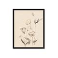 Picture of The Language of Petals II _GroupedProduct_Rectangle_Portrait_Framed_Matted_