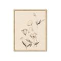 Picture of The Language of Petals II _GroupedProduct_Rectangle_Portrait_Framed_Matted_