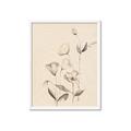 Picture of The Language of Petals II _GroupedProduct_Rectangle_Portrait_Framed_Matted_