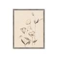Picture of The Language of Petals II _GroupedProduct_Rectangle_Portrait_Framed_Matted_