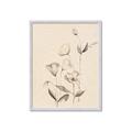 Picture of The Language of Petals II _GroupedProduct_Rectangle_Portrait_Framed_Matted_
