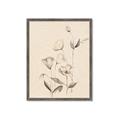 Picture of The Language of Petals II _GroupedProduct_Rectangle_Portrait_Framed_Matted_