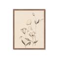 Picture of The Language of Petals II _GroupedProduct_Rectangle_Portrait_Framed_Matted_