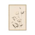 Picture of The Language of Petals II _GroupedProduct_Rectangle_Portrait_Framed_Matted_