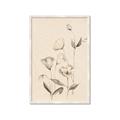 Picture of The Language of Petals II _GroupedProduct_Rectangle_Portrait_Framed_Matted_