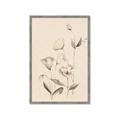 Picture of The Language of Petals II _GroupedProduct_Rectangle_Portrait_Framed_Matted_