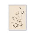 Picture of The Language of Petals II _GroupedProduct_Rectangle_Portrait_Framed_Matted_