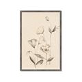 Picture of The Language of Petals II _GroupedProduct_Rectangle_Portrait_Framed_Matted_