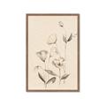 Picture of The Language of Petals II _GroupedProduct_Rectangle_Portrait_Framed_Matted_