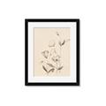 Picture of The Language of Petals II _GroupedProduct_Rectangle_Portrait_Framed_Matted_