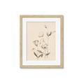 Picture of The Language of Petals II _GroupedProduct_Rectangle_Portrait_Framed_Matted_