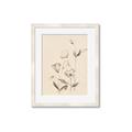 Picture of The Language of Petals II _GroupedProduct_Rectangle_Portrait_Framed_Matted_