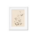 Picture of The Language of Petals II _GroupedProduct_Rectangle_Portrait_Framed_Matted_
