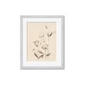 Picture of The Language of Petals II _GroupedProduct_Rectangle_Portrait_Framed_Matted_