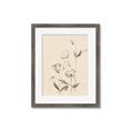 Picture of The Language of Petals II _GroupedProduct_Rectangle_Portrait_Framed_Matted_