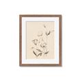 Picture of The Language of Petals II _GroupedProduct_Rectangle_Portrait_Framed_Matted_