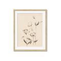 Picture of The Language of Petals II _GroupedProduct_Rectangle_Portrait_Framed_Matted_