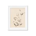 Picture of The Language of Petals II _GroupedProduct_Rectangle_Portrait_Framed_Matted_