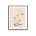 Picture of The Language of Petals II _GroupedProduct_Rectangle_Portrait_Framed_Matted_