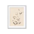 Picture of The Language of Petals II _GroupedProduct_Rectangle_Portrait_Framed_Matted_