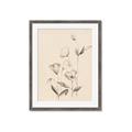 Picture of The Language of Petals II _GroupedProduct_Rectangle_Portrait_Framed_Matted_