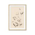 Picture of The Language of Petals II _GroupedProduct_Rectangle_Portrait_Framed_Matted_