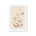 Picture of The Language of Petals II _GroupedProduct_Rectangle_Portrait_Framed_Matted_