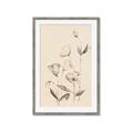Picture of The Language of Petals II _GroupedProduct_Rectangle_Portrait_Framed_Matted_