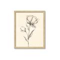 Picture of Blossoms in Stillness _GroupedProduct_Rectangle_Portrait_Framed_Matted_