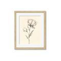 Picture of Blossoms in Stillness _GroupedProduct_Rectangle_Portrait_Framed_Matted_