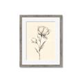 Picture of Blossoms in Stillness _GroupedProduct_Rectangle_Portrait_Framed_Matted_