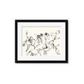 Picture of Blooming in Lines _GroupedProduct_Rectangle_Landscape_Framed_Matted_