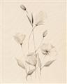 Picture of The Language of Petals I _GroupedProduct_Rectangle_Portrait_Unframed_Print_Only_