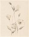 Picture of The Language of Petals I _GroupedProduct_Rectangle_Portrait_Unframed_Print_Only_