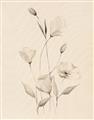 Picture of The Language of Petals I _GroupedProduct_Rectangle_Portrait_Unframed_Print_Only_