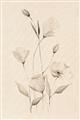 Picture of The Language of Petals I _GroupedProduct_Rectangle_Portrait_Unframed_Print_Only_