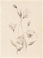 Picture of The Language of Petals I _GroupedProduct_Rectangle_Portrait_Unframed_Print_Only_