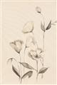 Picture of The Language of Petals II _GroupedProduct_Rectangle_Portrait_Unframed_Print_Only_