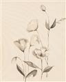 Picture of The Language of Petals II _GroupedProduct_Rectangle_Portrait_Unframed_Print_Only_