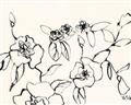 Picture of Blooming in Lines _GroupedProduct_Rectangle_Landscape_Unframed_Print_Only_