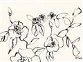 Picture of Blooming in Lines _GroupedProduct_Rectangle_Landscape_Unframed_Print_Only_