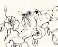 Picture of Blooming in Lines _GroupedProduct_Rectangle_Landscape_Unframed_Print_Only_