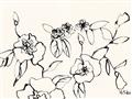 Picture of Blooming in Lines _GroupedProduct_Rectangle_Landscape_Unframed_Print_Only_