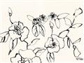 Picture of Blooming in Lines _GroupedProduct_Rectangle_Landscape_Unframed_Print_Only_