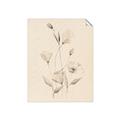 Picture of The Language of Petals I _GroupedProduct_Rectangle_Portrait_Unframed_Print_Only_