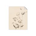 Picture of The Language of Petals II _GroupedProduct_Rectangle_Portrait_Unframed_Print_Only_