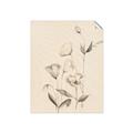 Picture of The Language of Petals II _GroupedProduct_Rectangle_Portrait_Unframed_Print_Only_