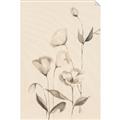 Picture of The Language of Petals II _GroupedProduct_Rectangle_Portrait_Unframed_Print_Only_