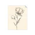 Picture of Blossoms in Stillness _GroupedProduct_Rectangle_Portrait_Unframed_Print_Only_