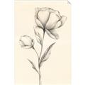 Picture of Blossoms in Stillness _GroupedProduct_Rectangle_Portrait_Unframed_Print_Only_